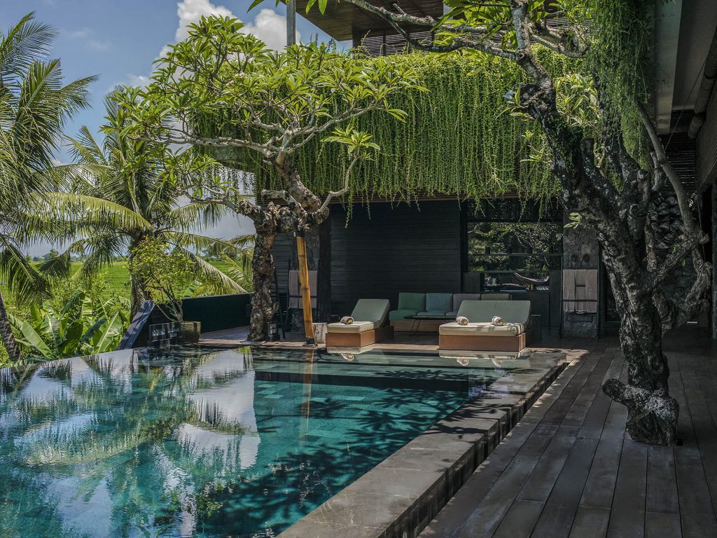 Villa Mana Canggu infinity pool villa surrounded by palm trees rice fields and hanging vines